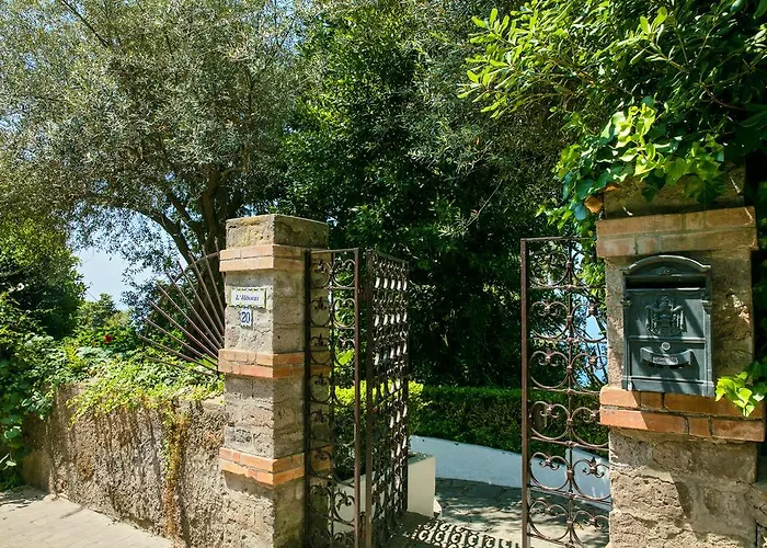 别墅 木槿花别墅 *